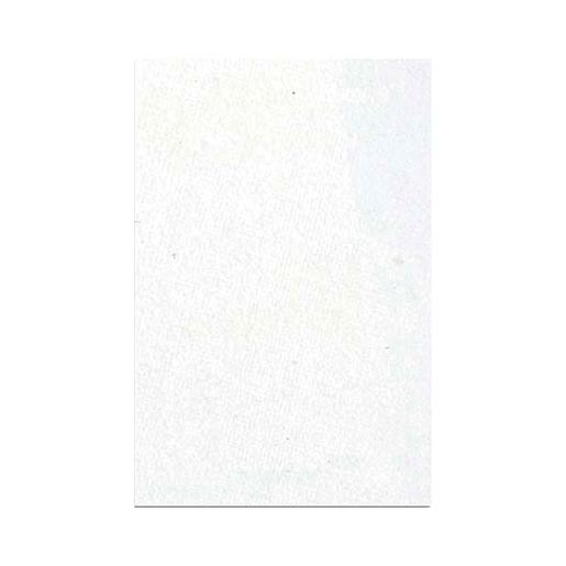 CARTULINA ILUSTRACION ENTERO BLANCO 76X102CM SAIRA